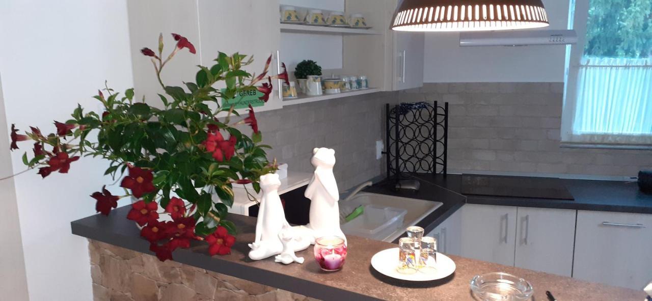 Raza Soarelui Apartament De Lux سوفاتا المظهر الخارجي الصورة