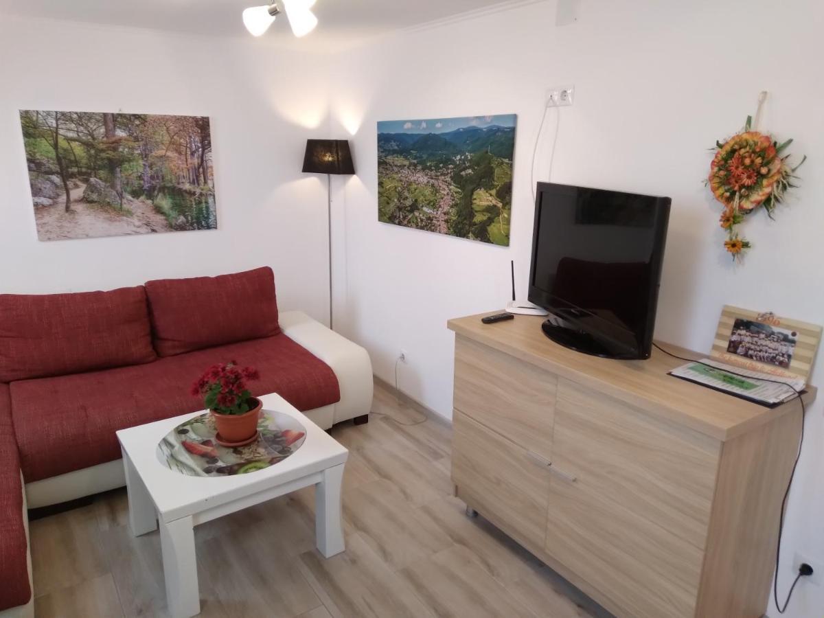 Raza Soarelui Apartament De Lux سوفاتا المظهر الخارجي الصورة